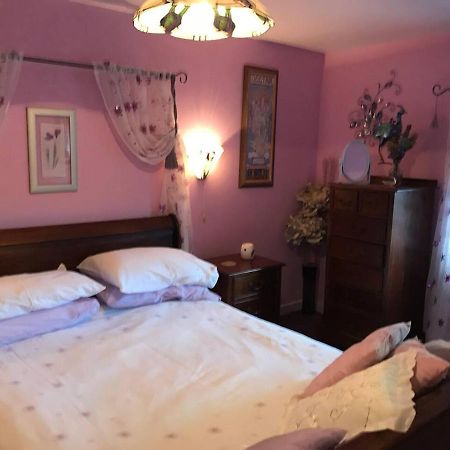 Cosy Cottage For Ecotourism Lovers Near Corwen Kültér fotó