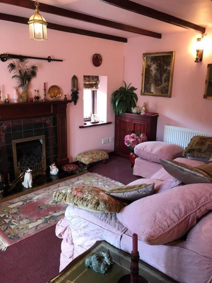 Cosy Cottage For Ecotourism Lovers Near Corwen Kültér fotó