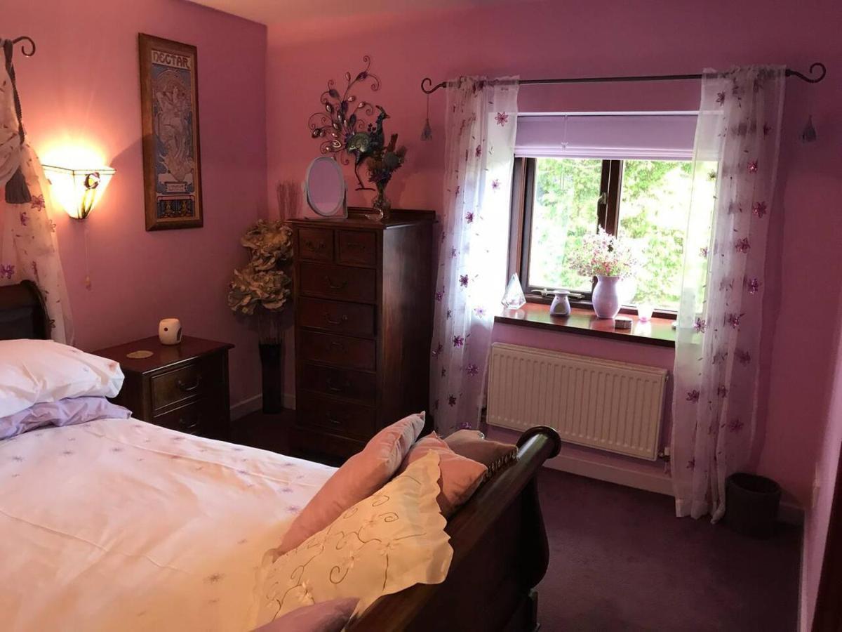 Cosy Cottage For Ecotourism Lovers Near Corwen Kültér fotó