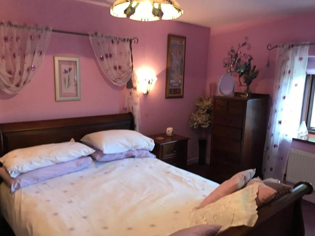 Cosy Cottage For Ecotourism Lovers Near Corwen Kültér fotó