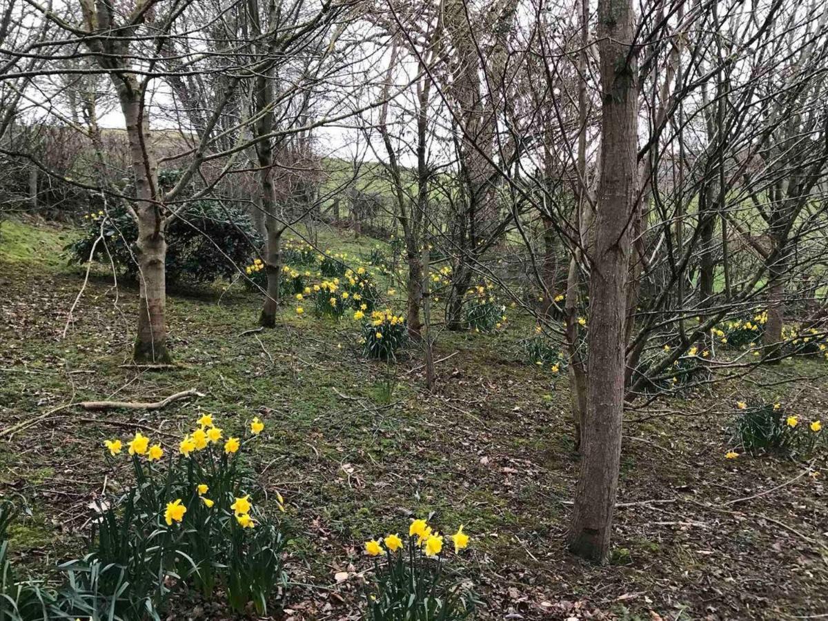 Cosy Cottage For Ecotourism Lovers Near Corwen Kültér fotó