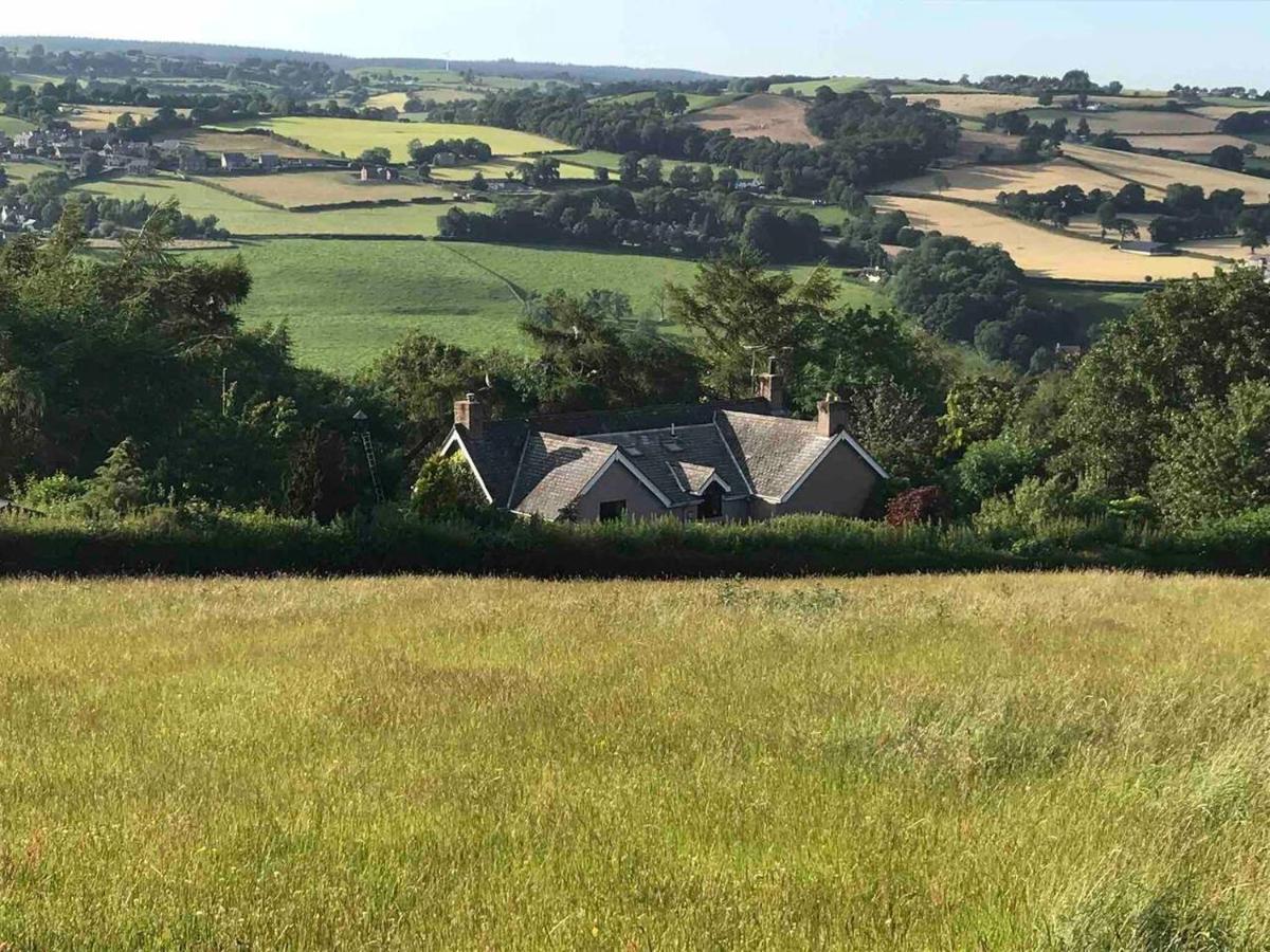 Cosy Cottage For Ecotourism Lovers Near Corwen Kültér fotó