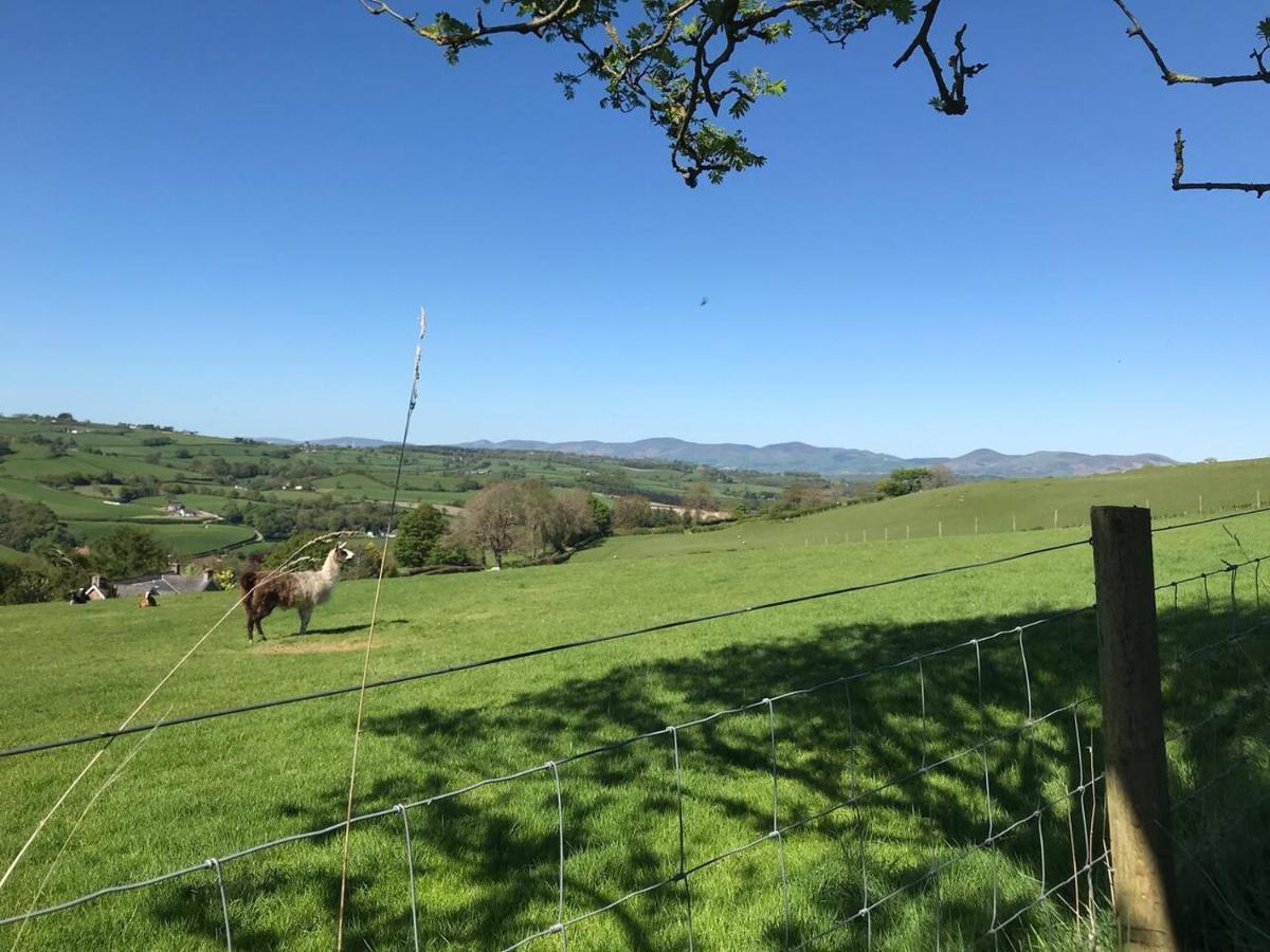 Cosy Cottage For Ecotourism Lovers Near Corwen Kültér fotó